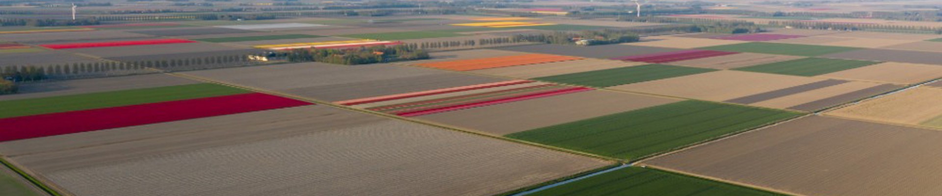 Wat gebeurt er bij overlijden met mijn lijfrente?