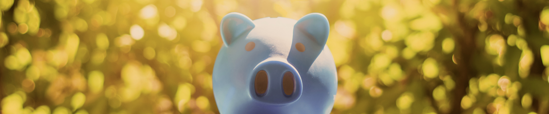 Gratis webinars van Trustus Vermogensbeheer