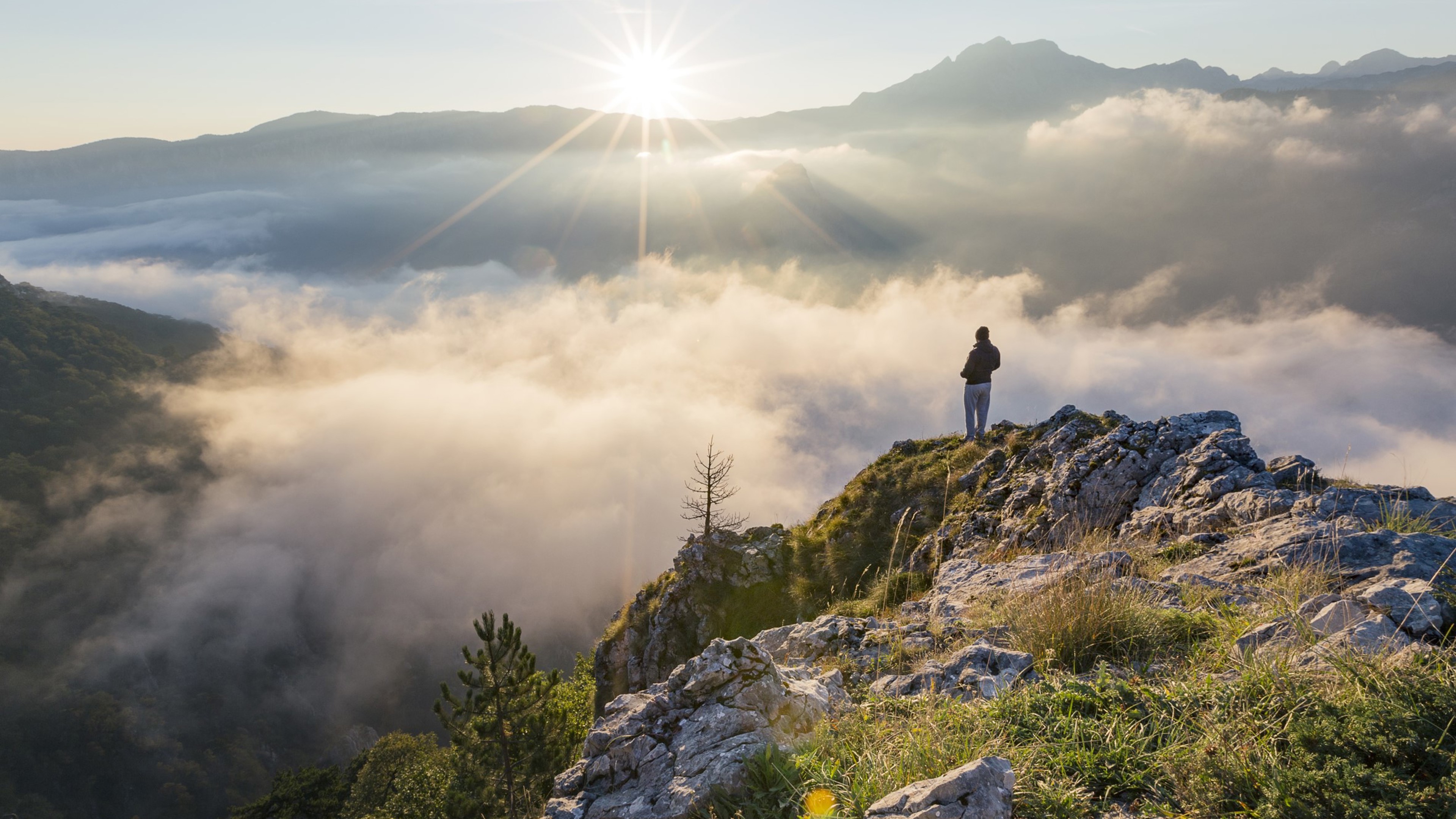 Vertrouwen dat rendeert.