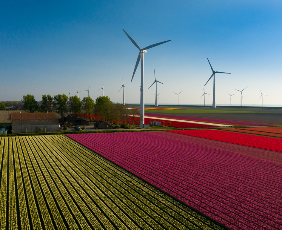 Shutterstock 1801577215